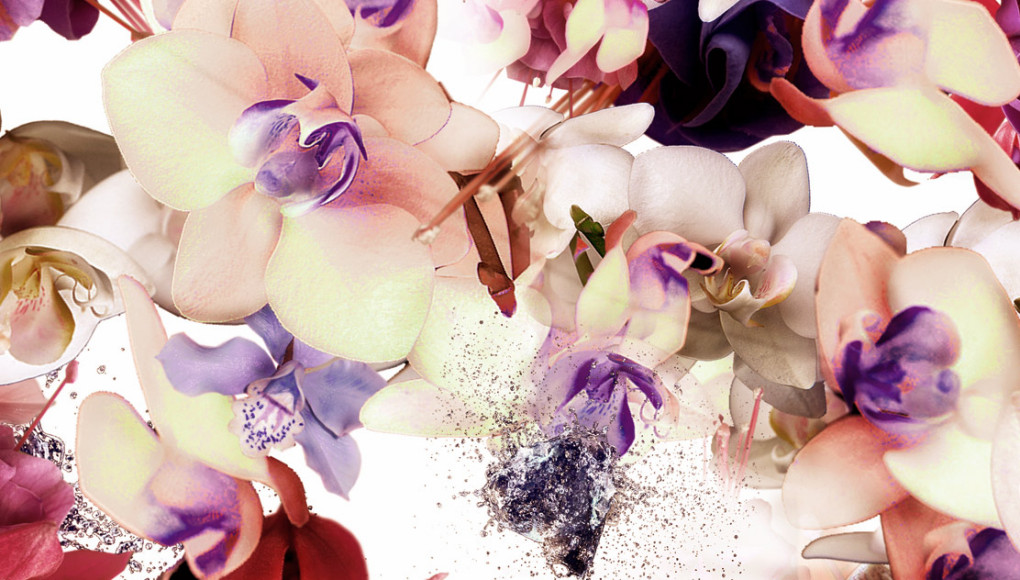 01-cristian-grossi-flower-fashion-glamour