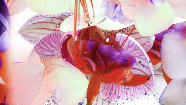 02-cristian-grossi-flower-fashion-glamour