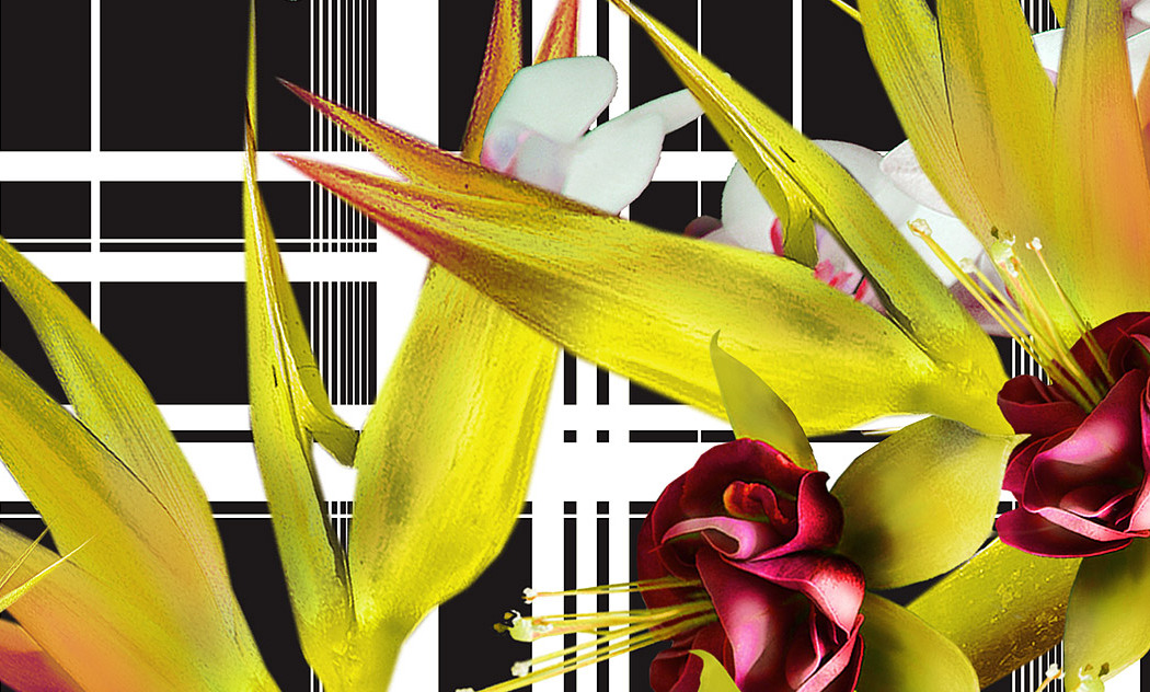 digital-art-in-fashion-moodboard-madras