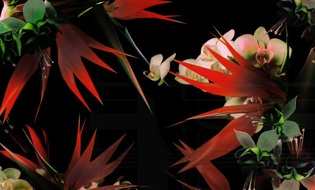 fashion-flower-moodboard-trends-designer