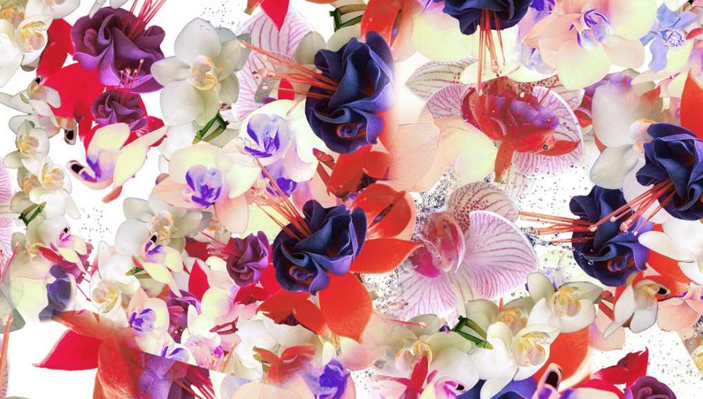fashioning-flower-cristian-grossi